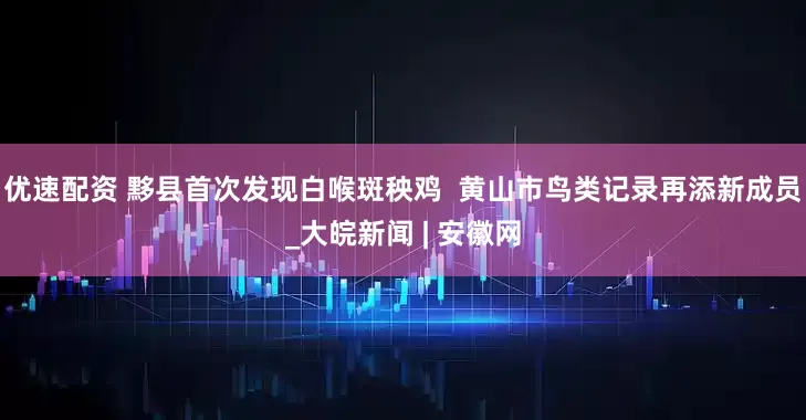 优速配资 黟县首次发现白喉斑秧鸡  黄山市鸟类记录再添新成员_大皖新闻 | 安徽网