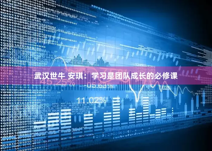武汉世牛 安琪：学习是团队成长的必修课