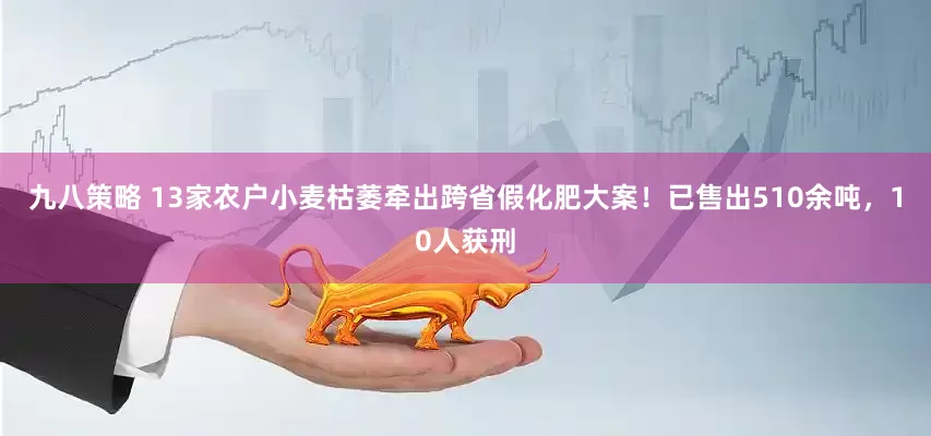 九八策略 13家农户小麦枯萎牵出跨省假化肥大案！已售出510余吨，10人获刑